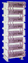 Absolyte IIP电池图片